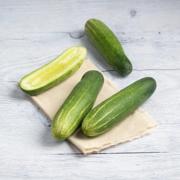 Cucumber