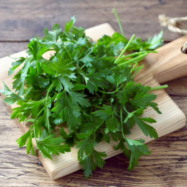 Coriander 100g