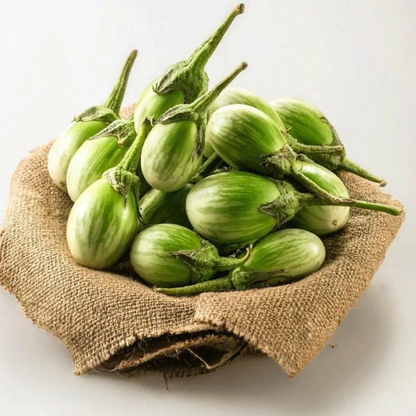 Green Brinjal